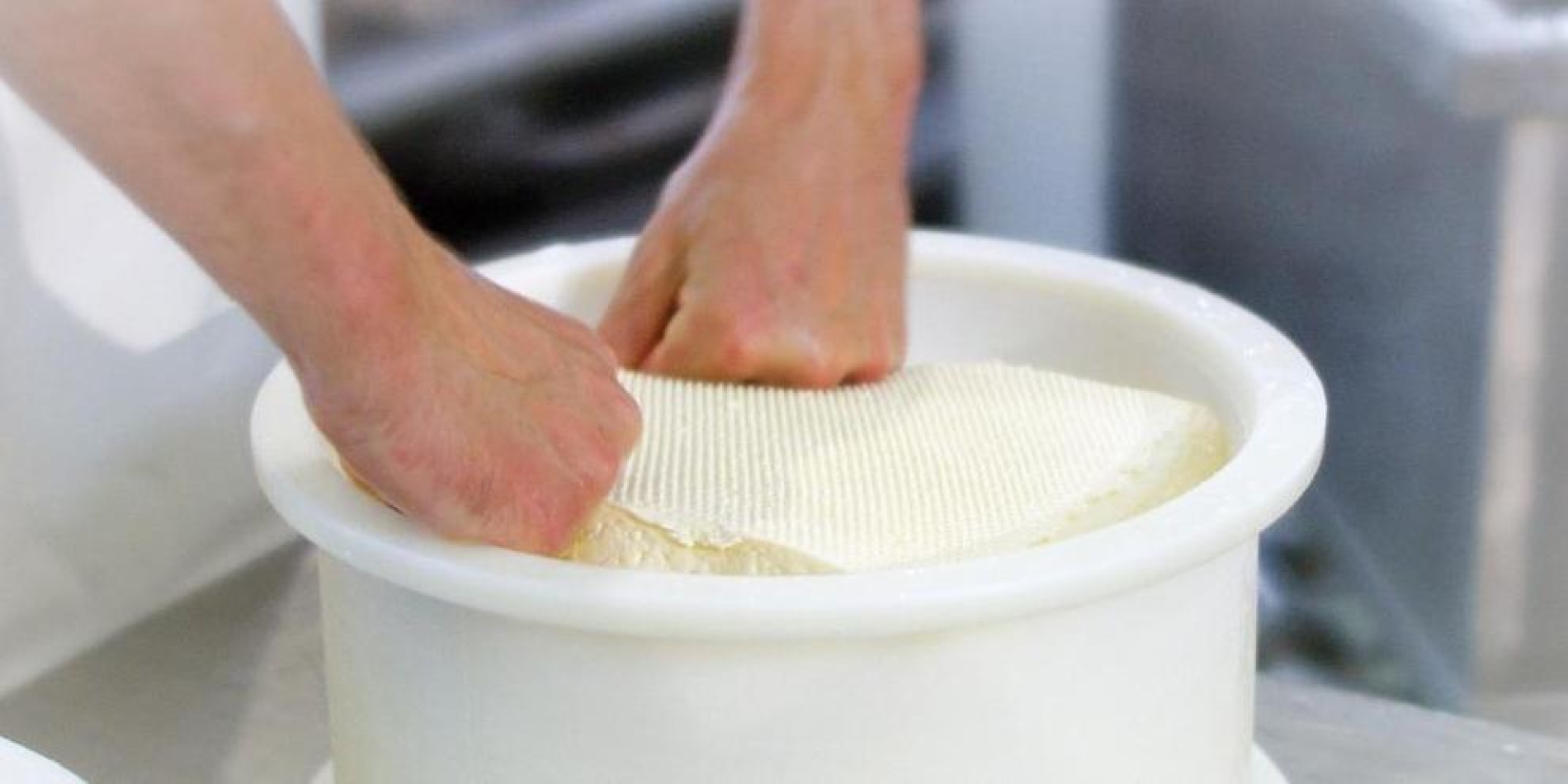 Käseherstellung in der Sennerei Leitner nach traditionellem Handwerk.